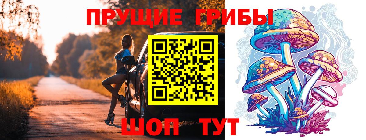 Псилоцибиновые грибы мицелий Будённовск