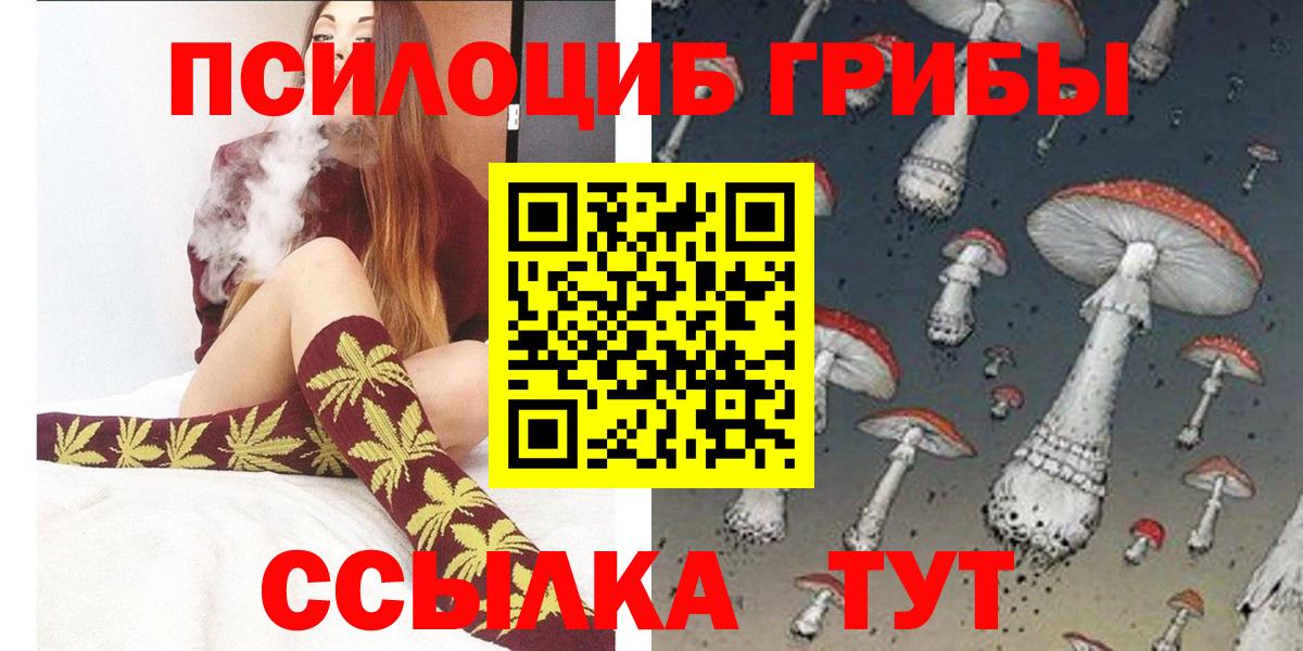 Галлюциногенные грибы Cubensis  Вход с VPN  Будённовск 
